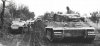 Panzer VI Tiger I (39)